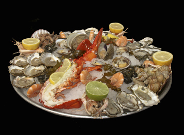 01-langousta