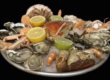 4-oyster